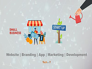 startup and small business web development